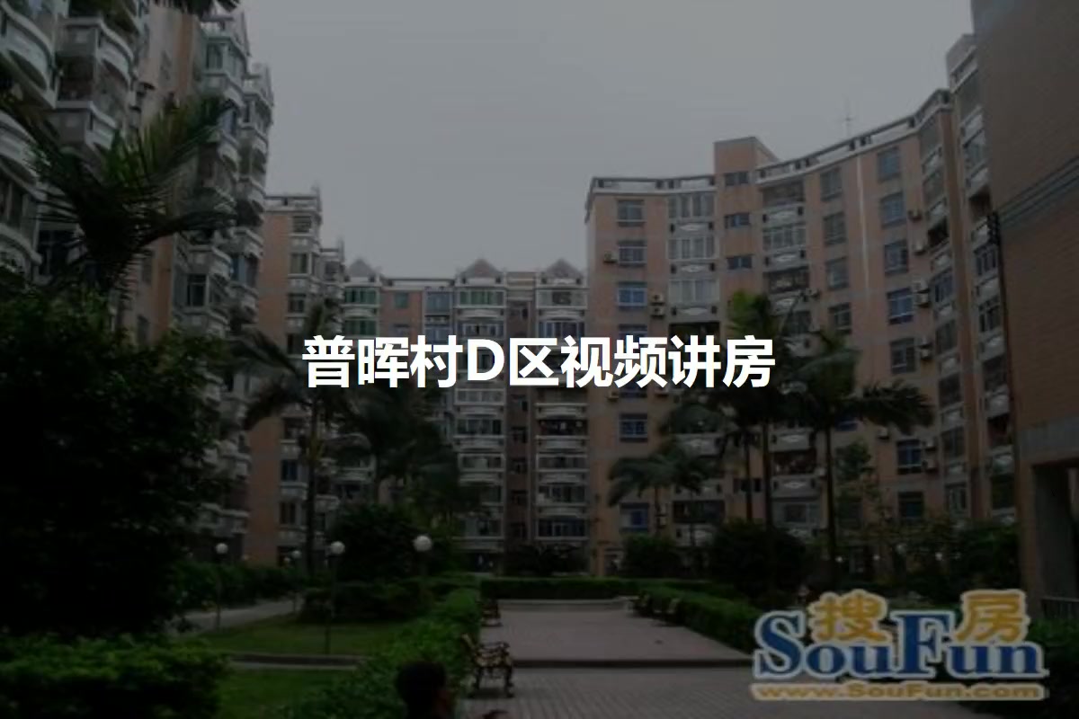 普晖村D区