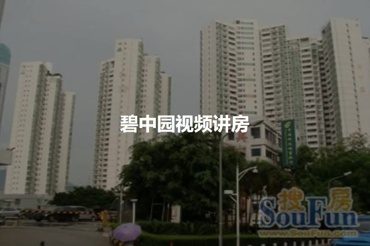 碧中园