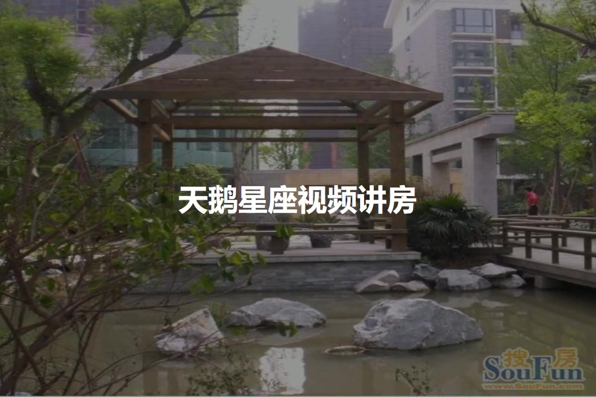 天鹅星座