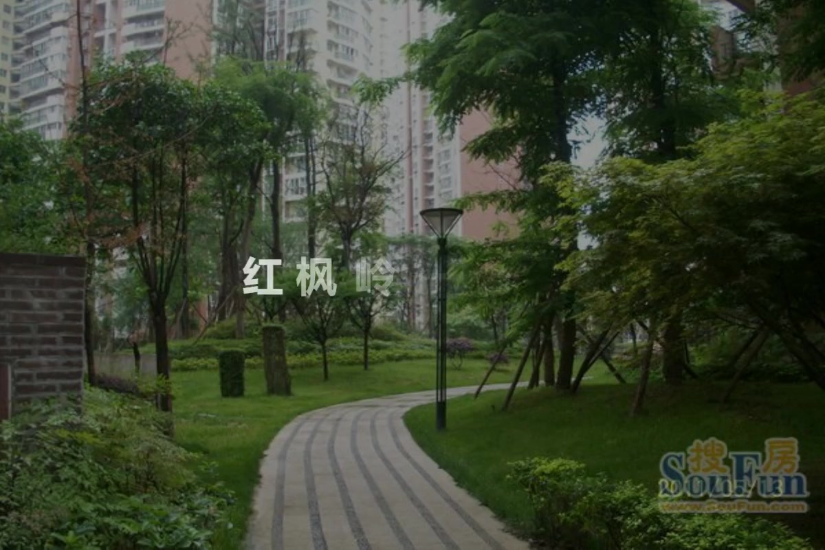 红枫岭一期