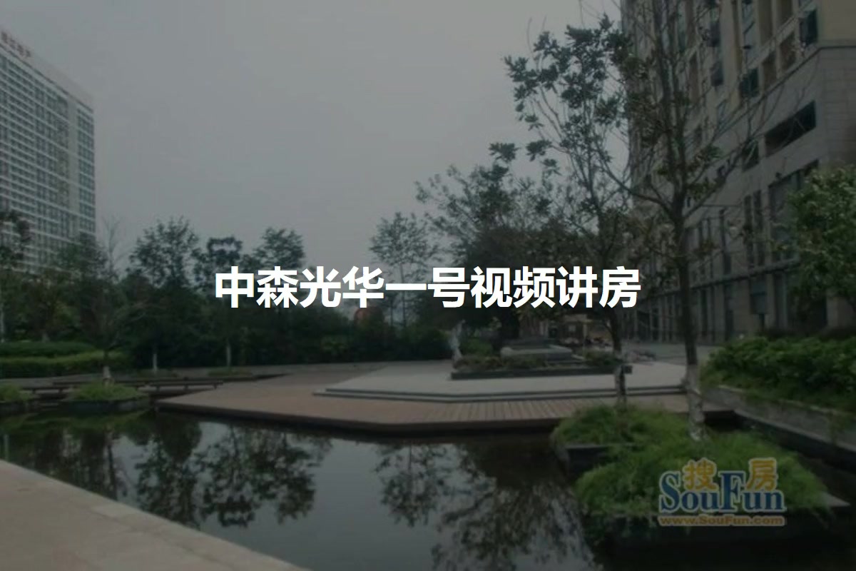 中森光华一号