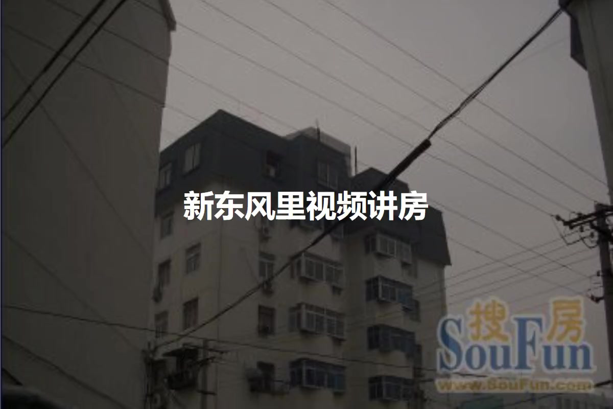 新东风里