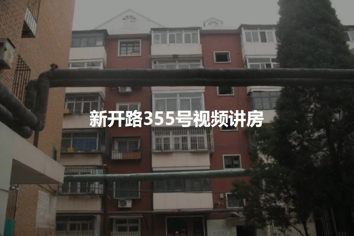 新开路355号