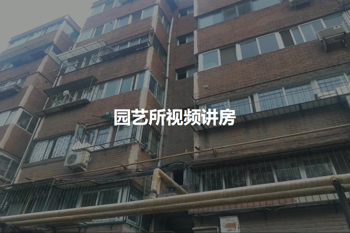 园艺所