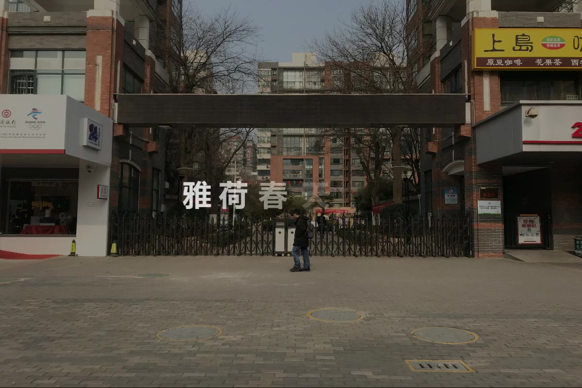 雅荷春天
