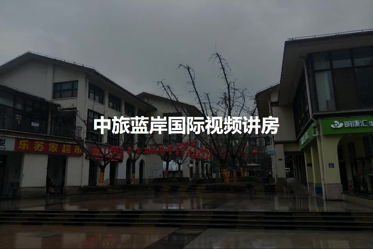 中旅蓝岸国际
