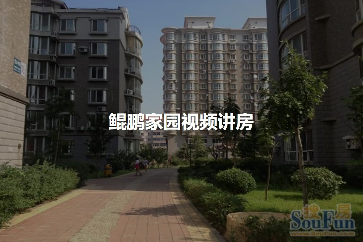 鲲鹏家园