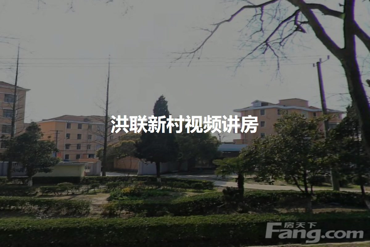 洪联新村