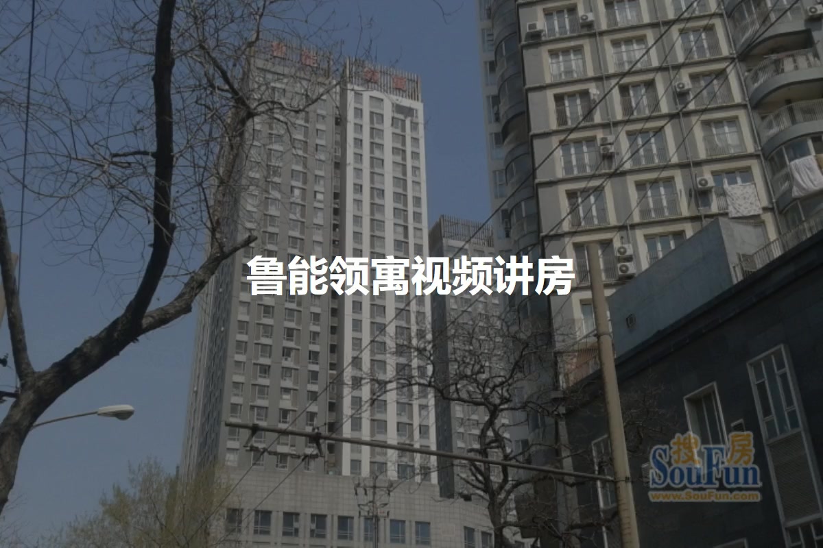 鲁能领寓