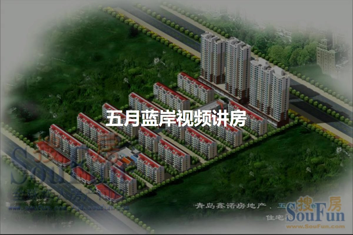 五月蓝岸
