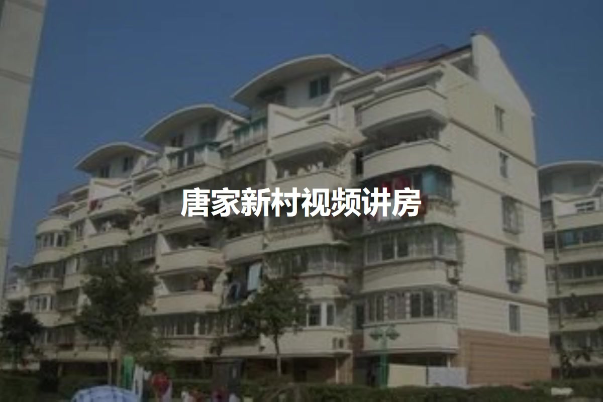 唐家新村