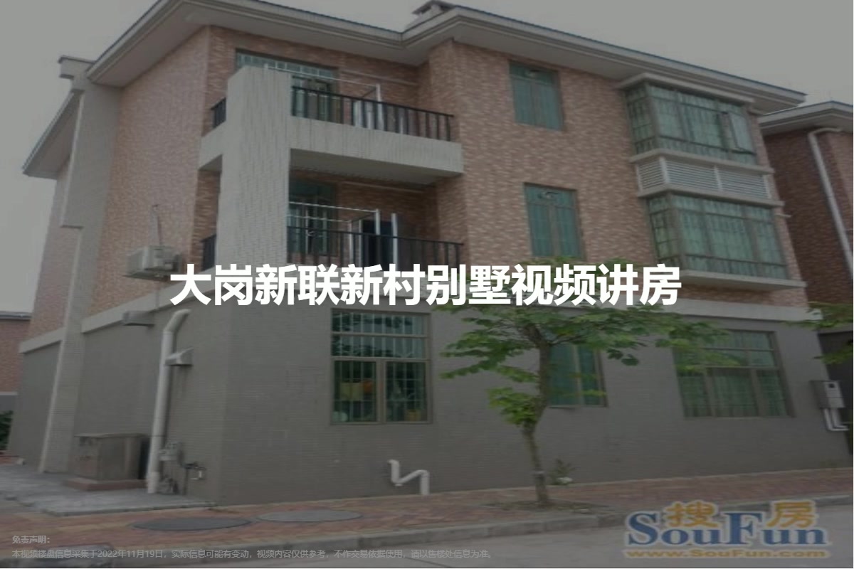 大岗新联新村别墅