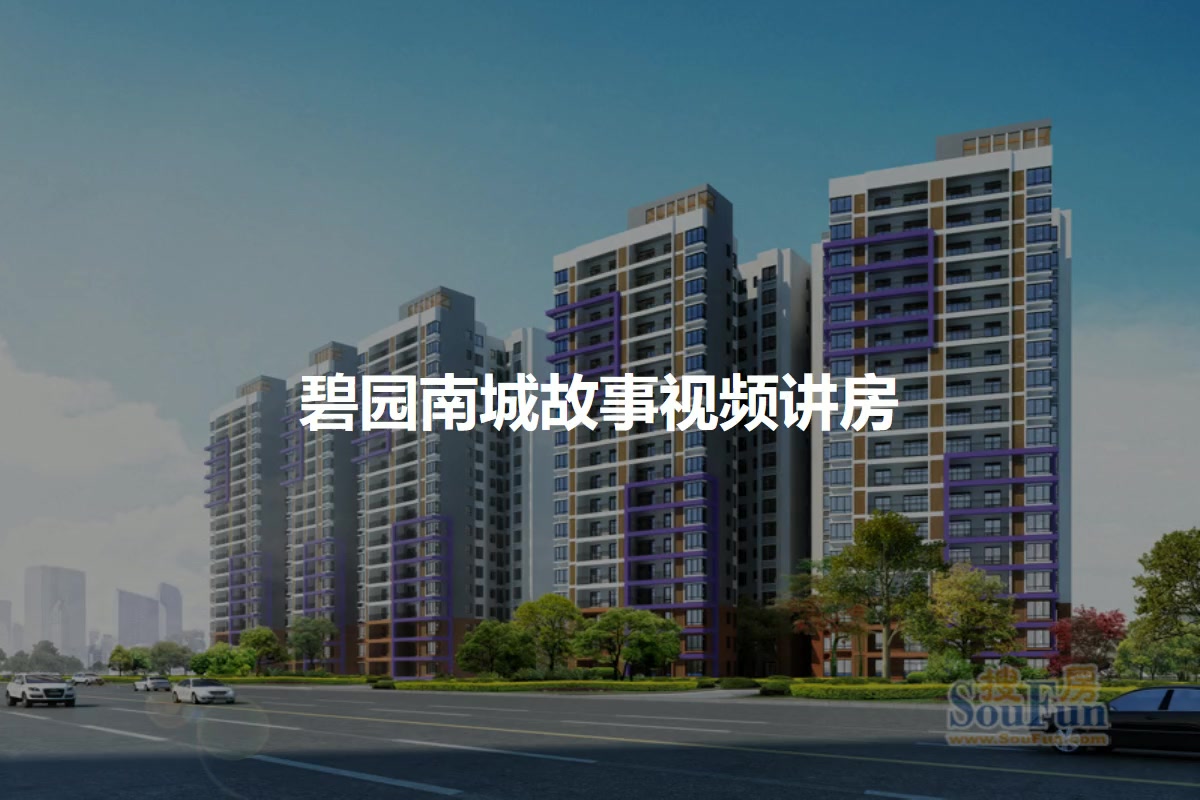碧园南城故事