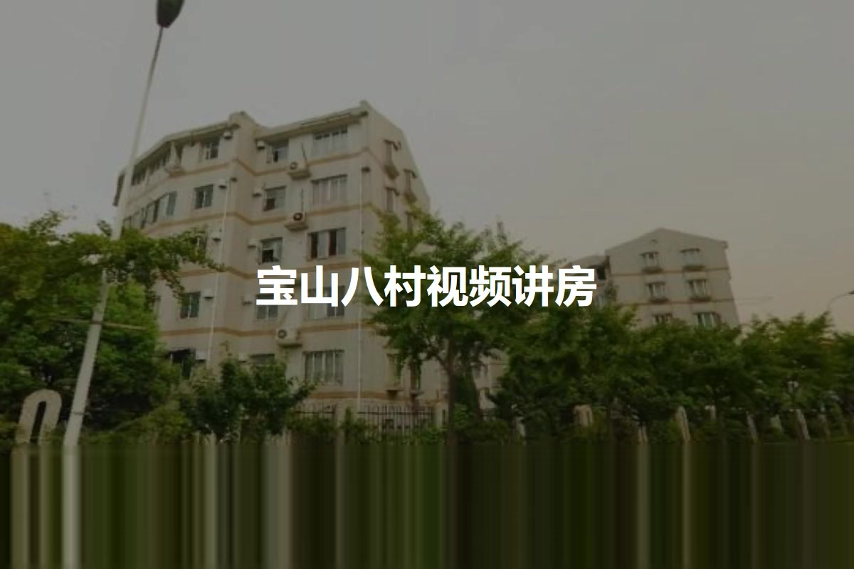 宝山九村