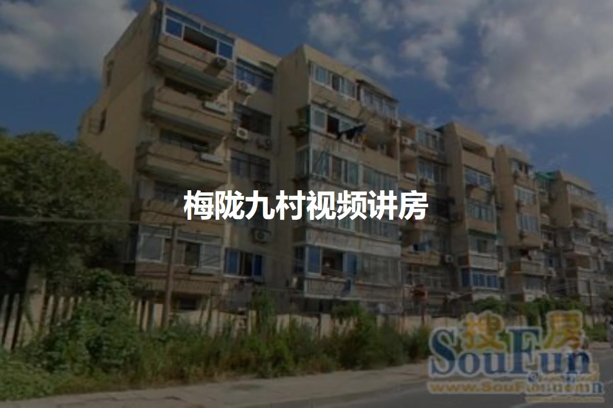 梅陇九村