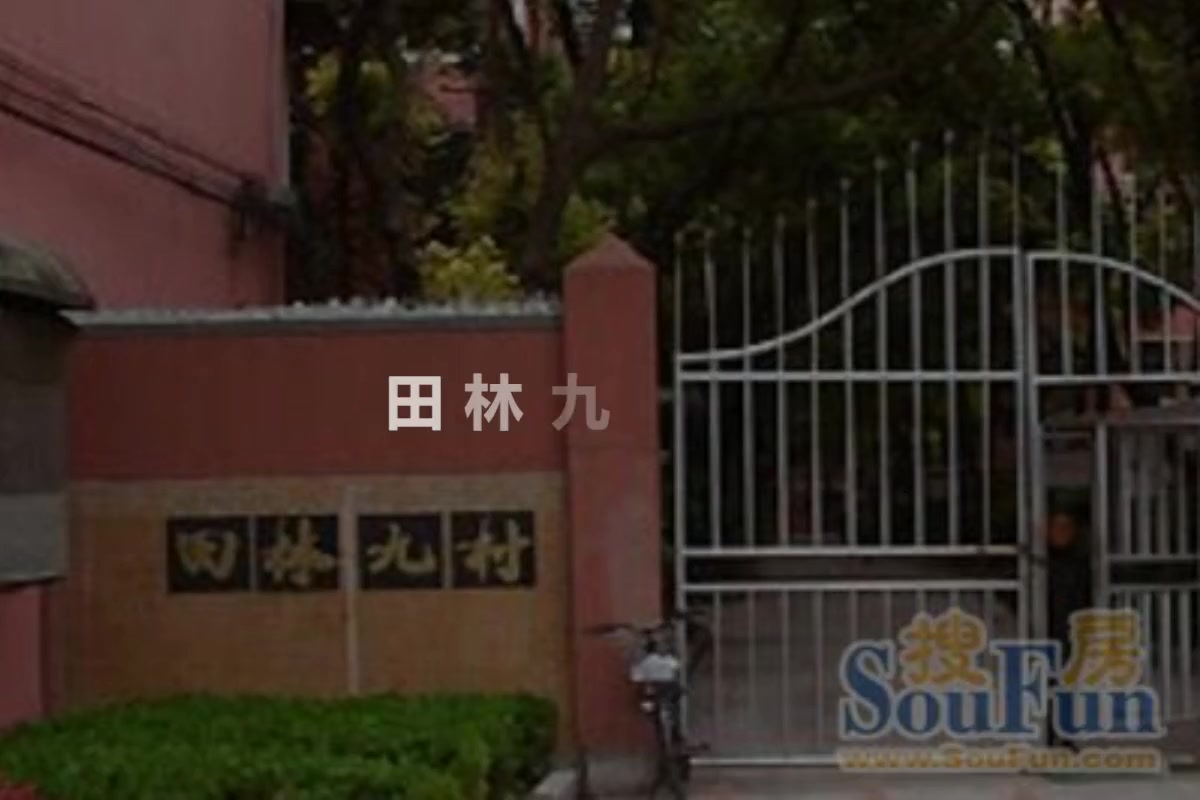田林九村