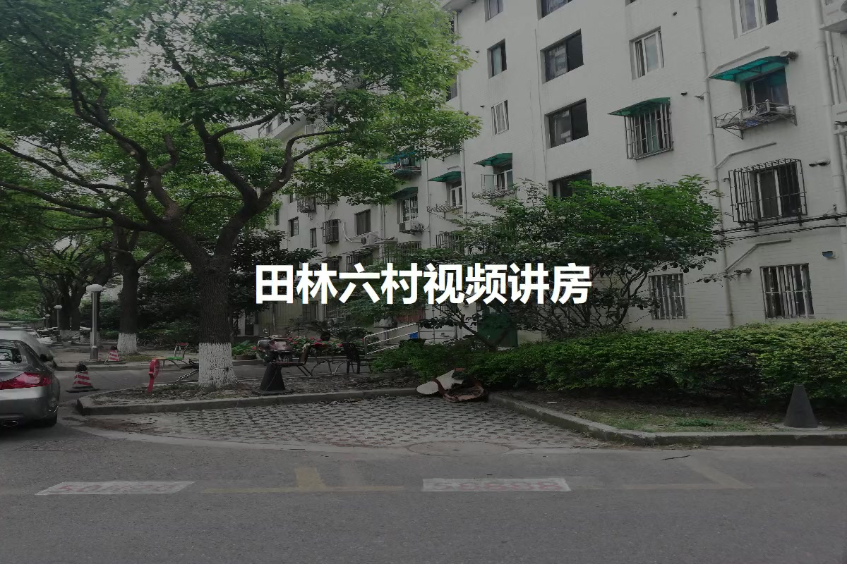 田林六村