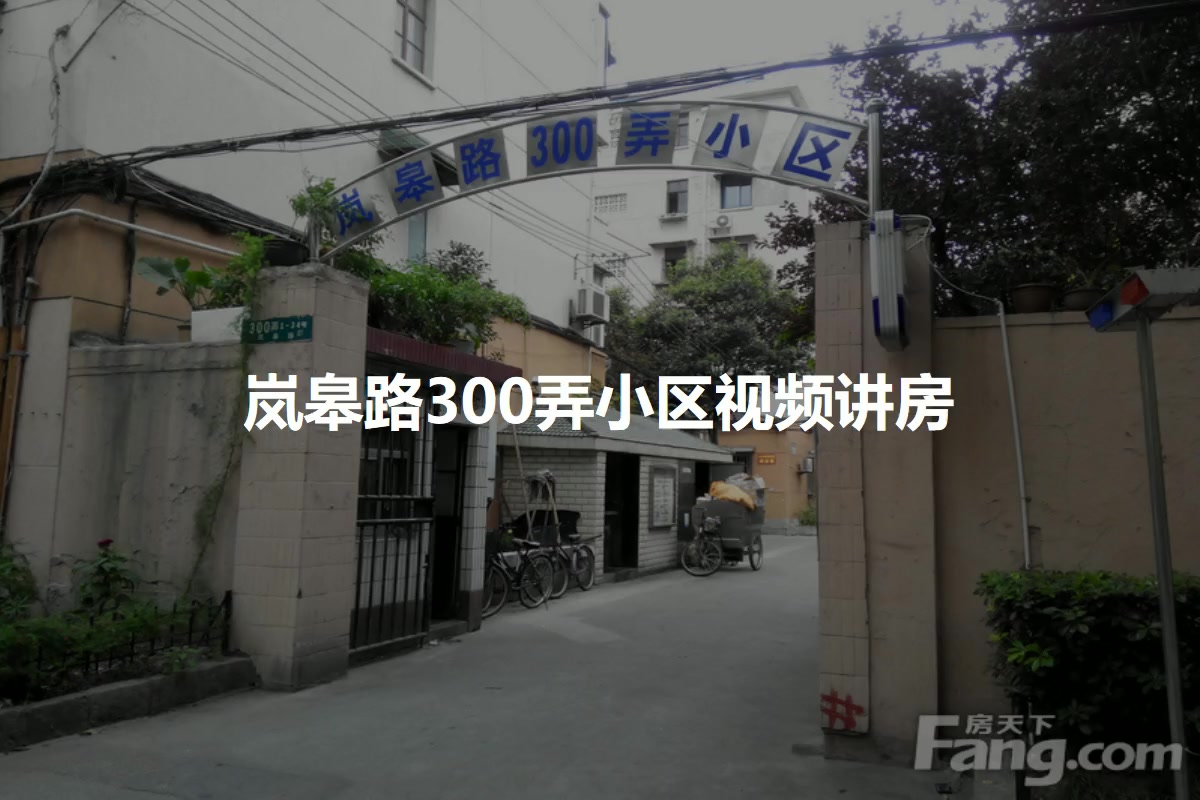 岚皋路300弄小区