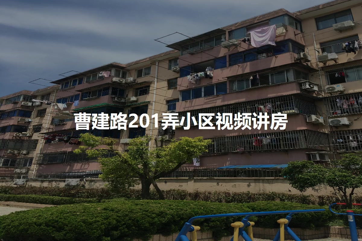 曹建路201弄小区
