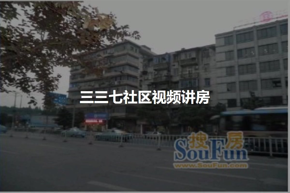 三三七社区