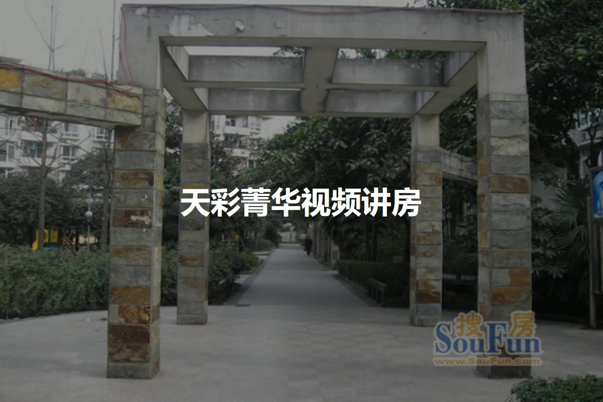 天彩菁华
