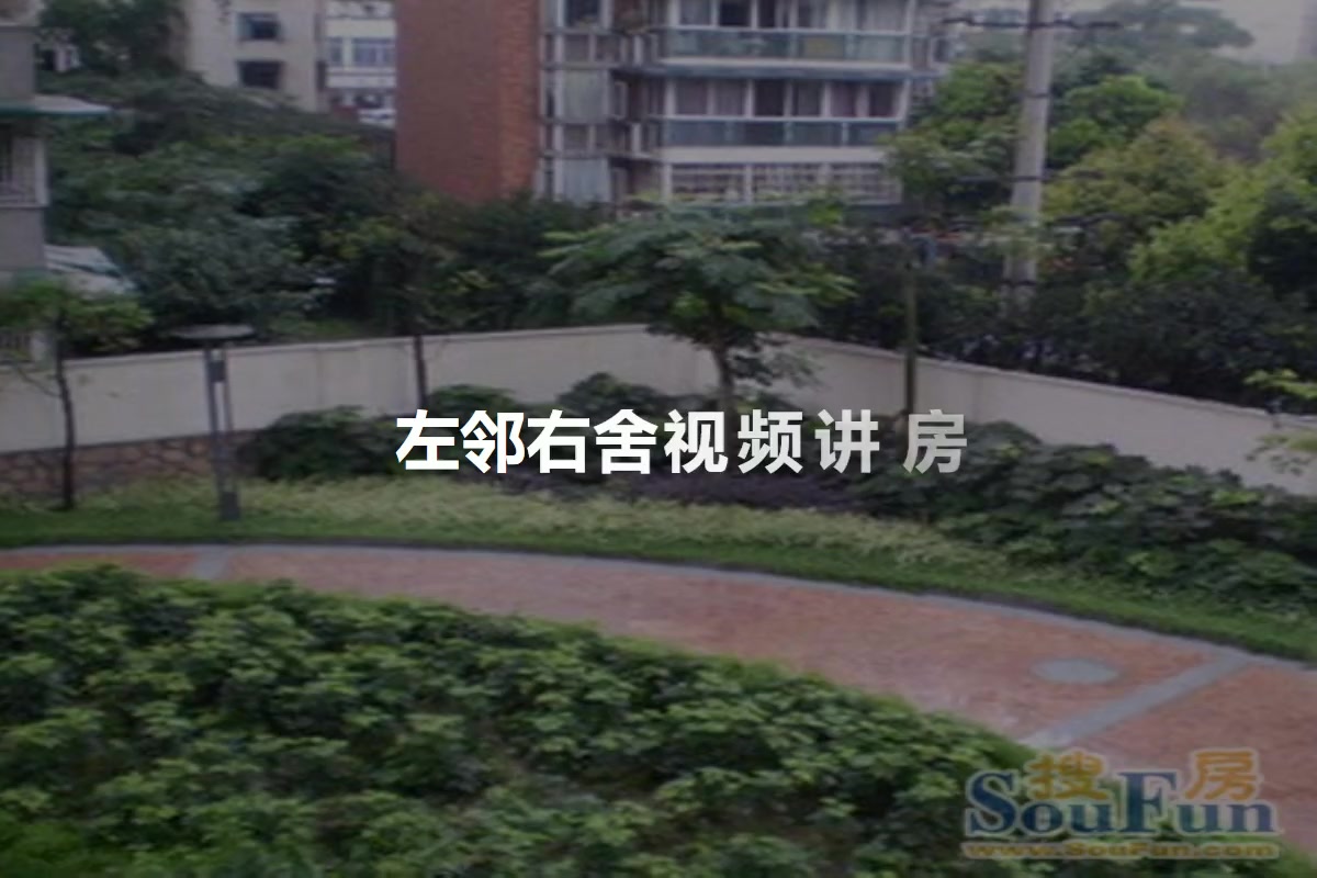 左邻右舍