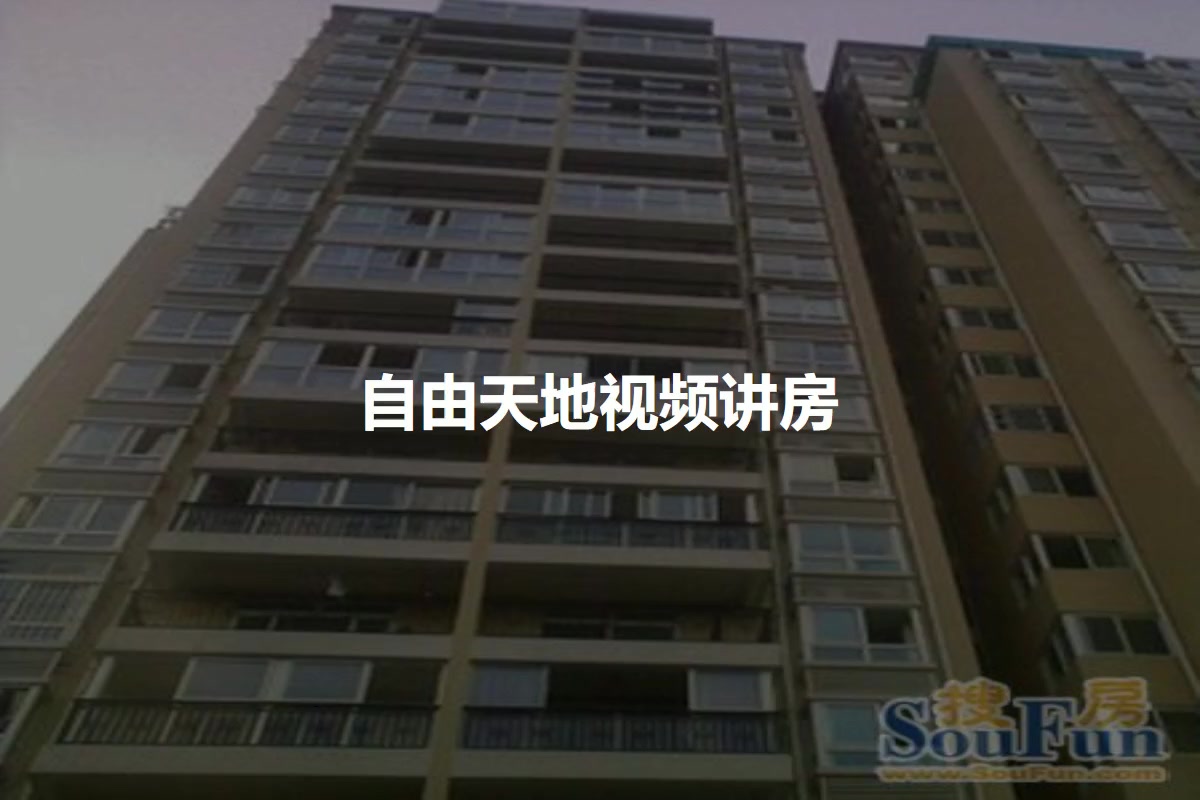 自由天地