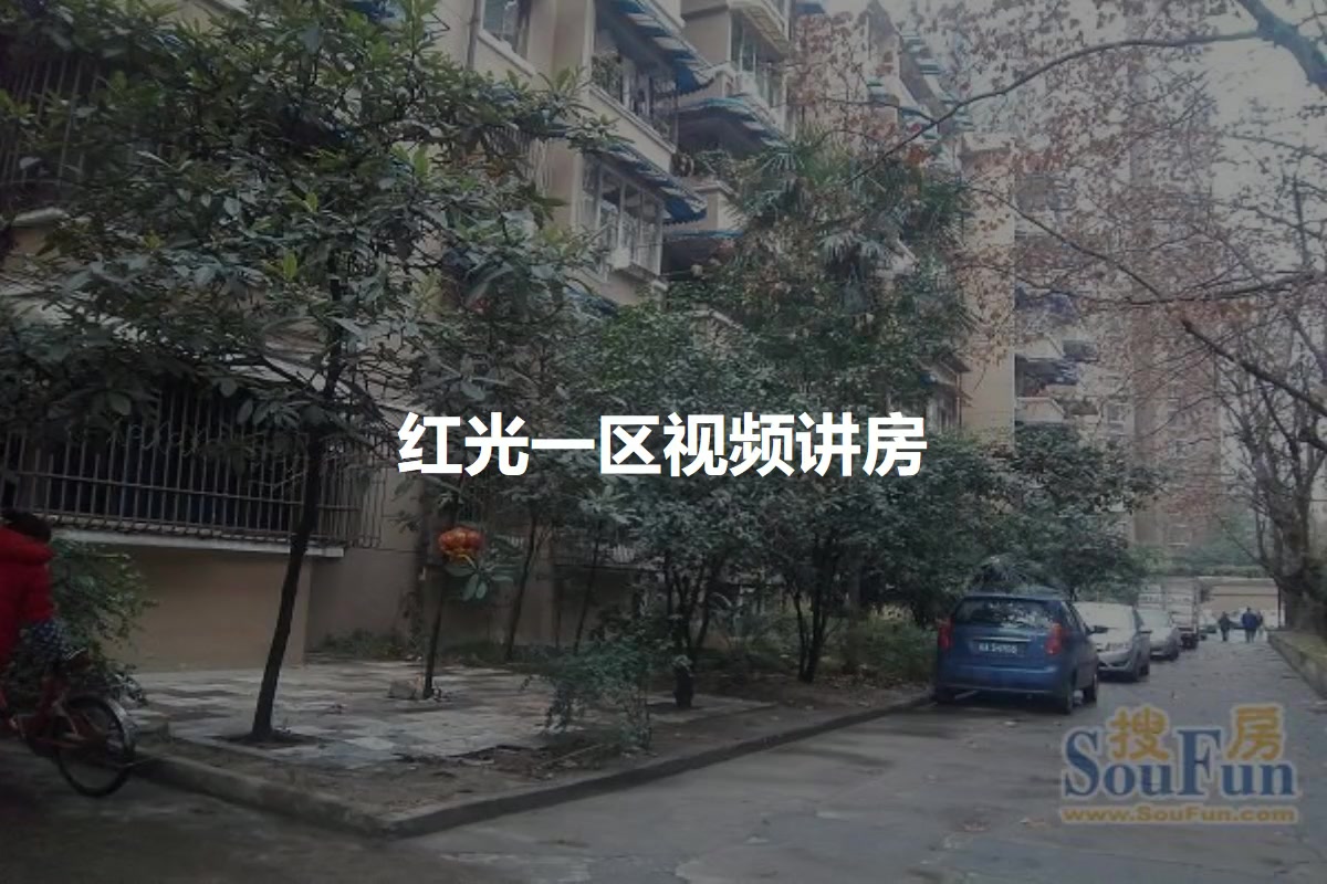红光一区