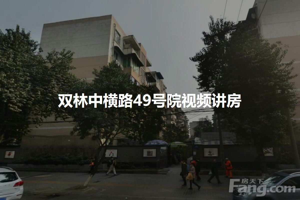 双林中横路49号院