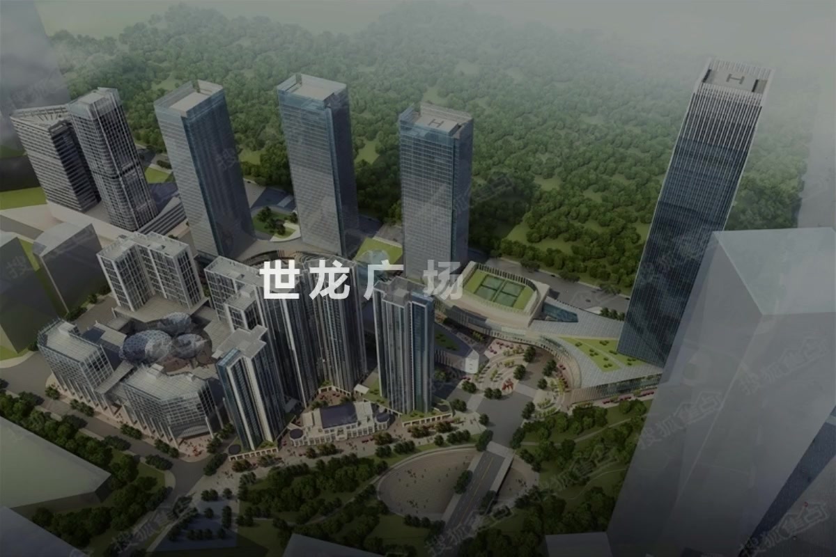 世龙广场