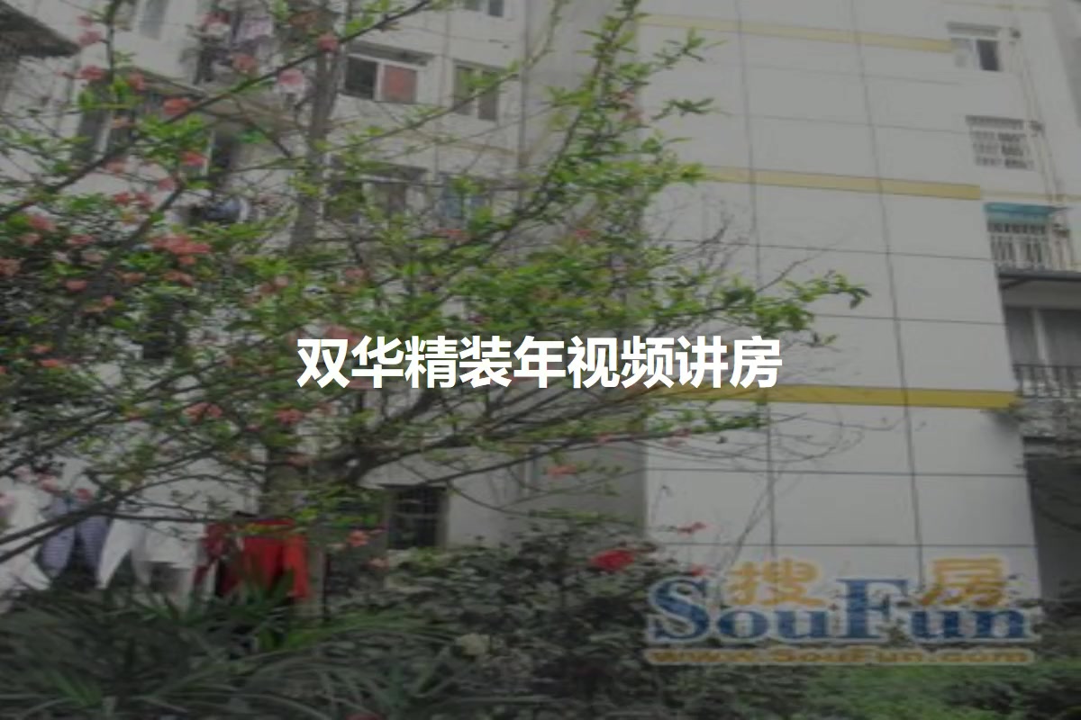 双华精装年