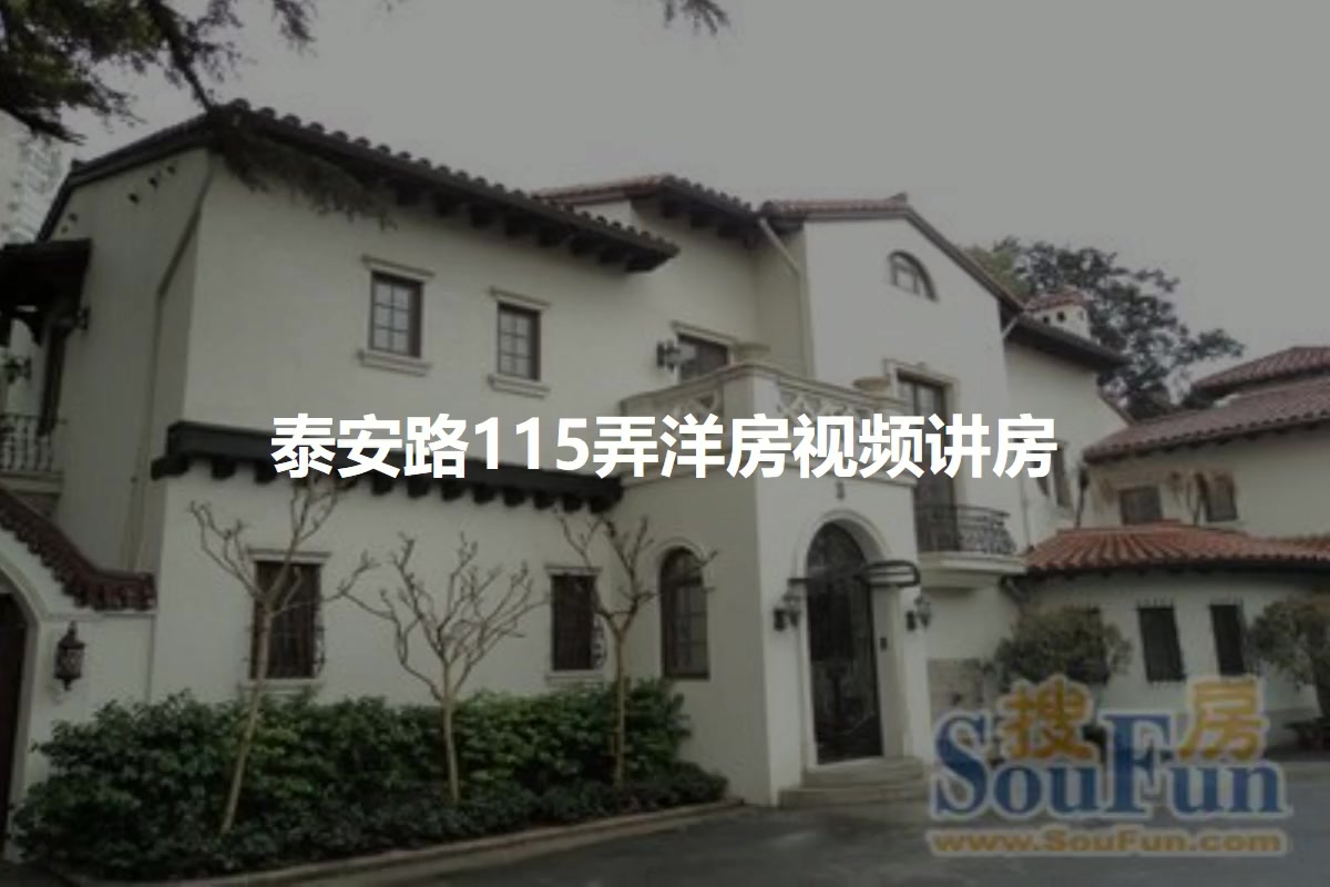 泰安路115弄洋房