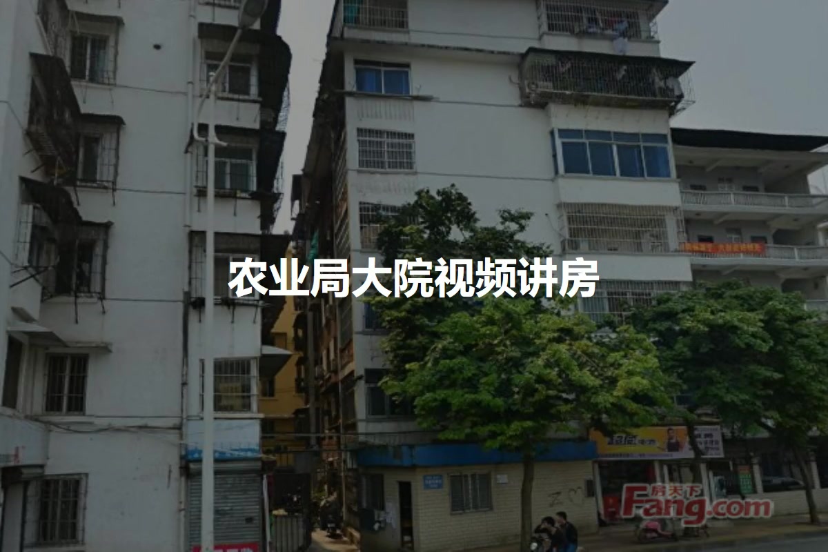 农业局大院