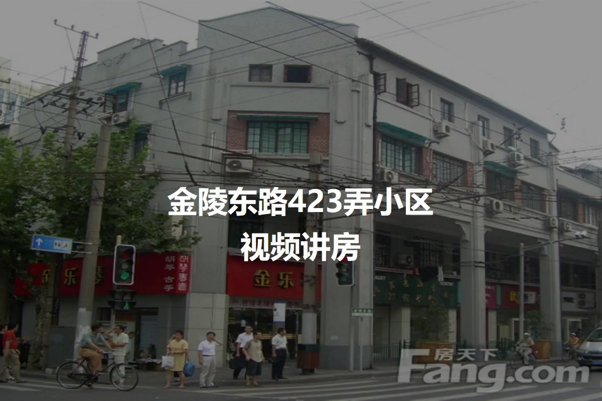 金陵东路423弄小区
