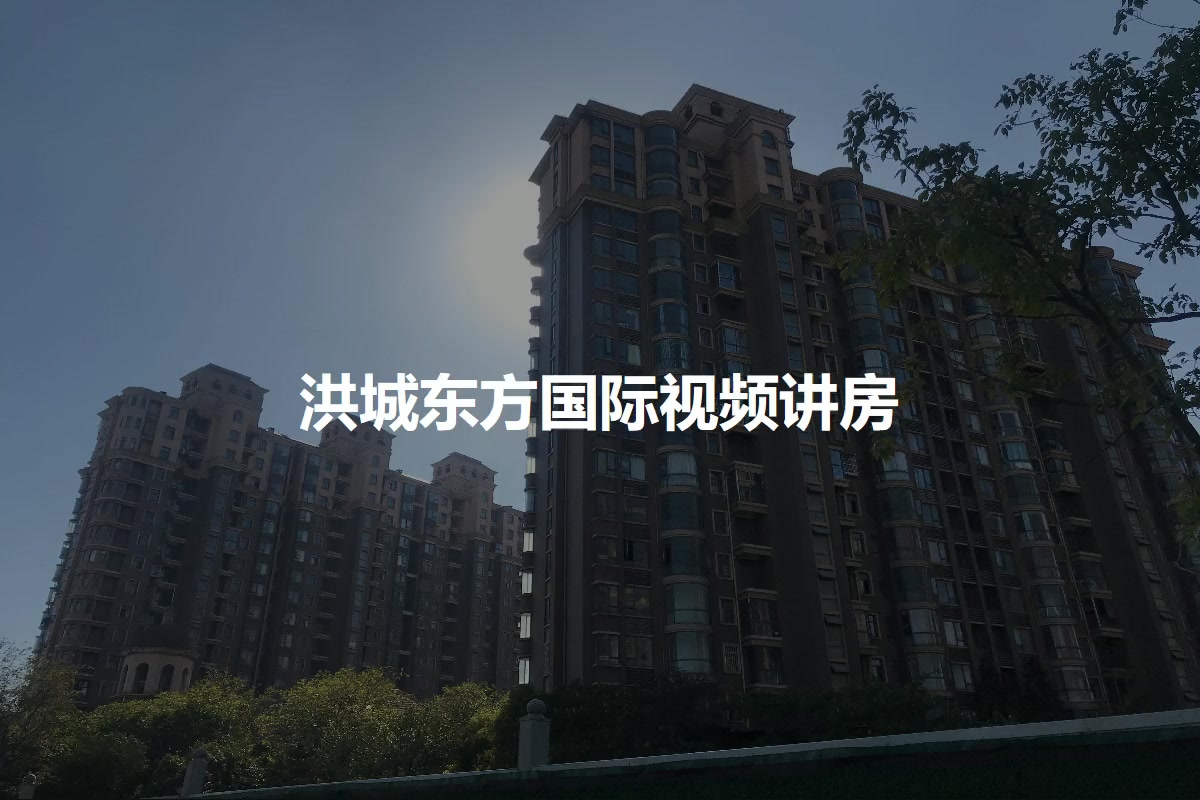 洪城东方国际