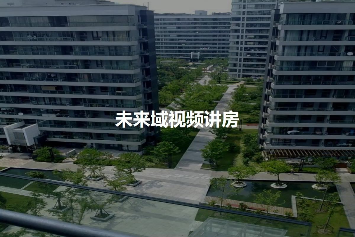 未来域