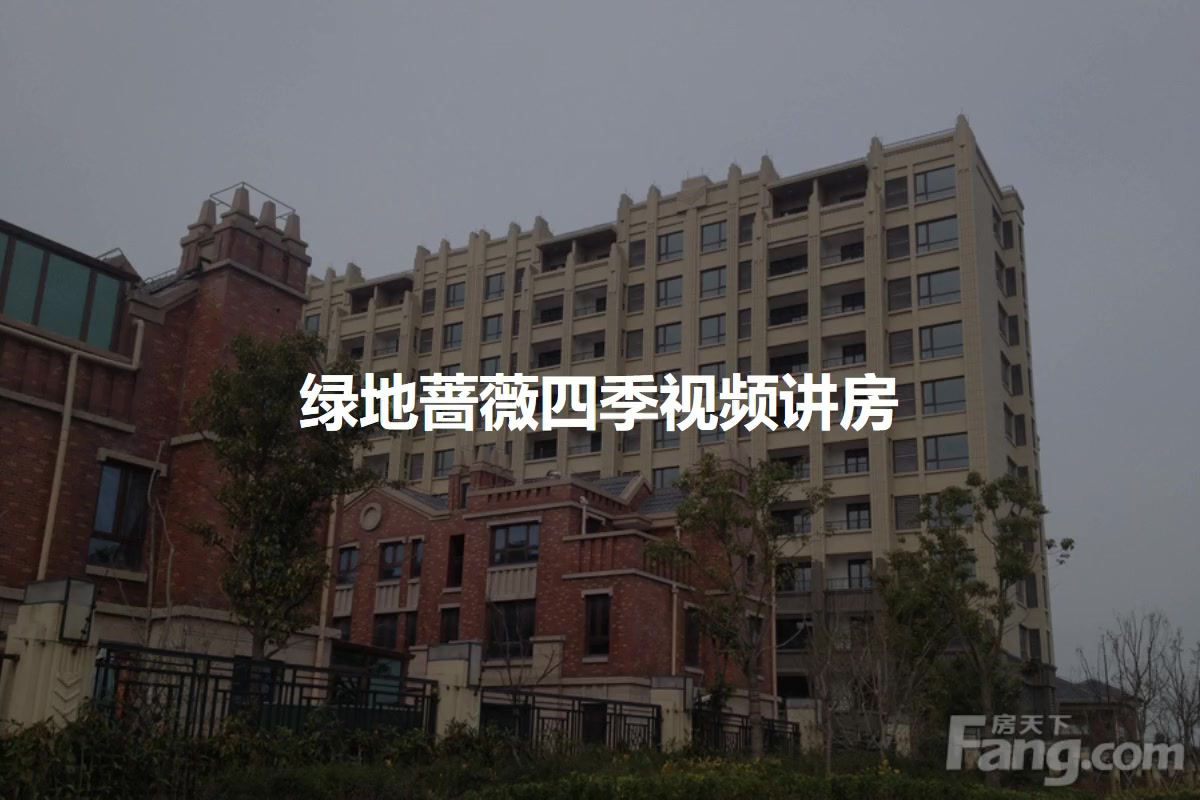 绿地蔷薇四季