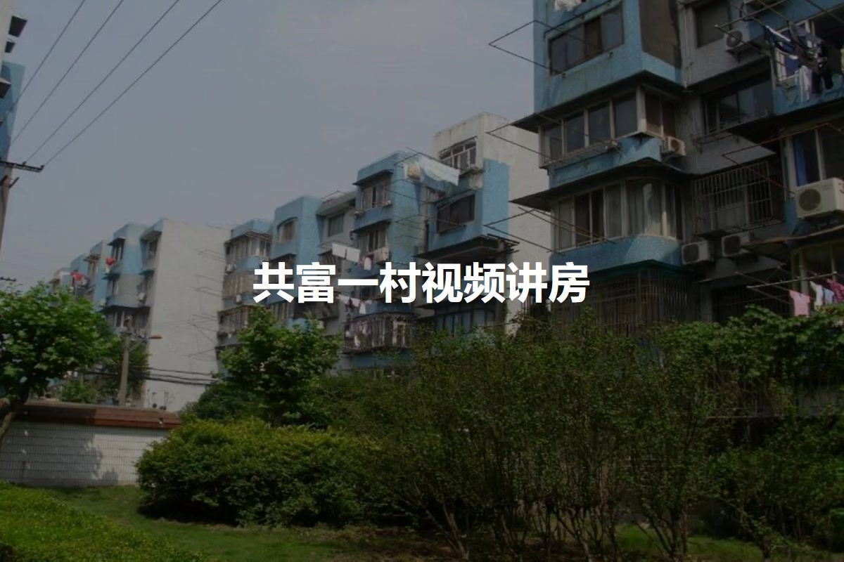 共富一村
