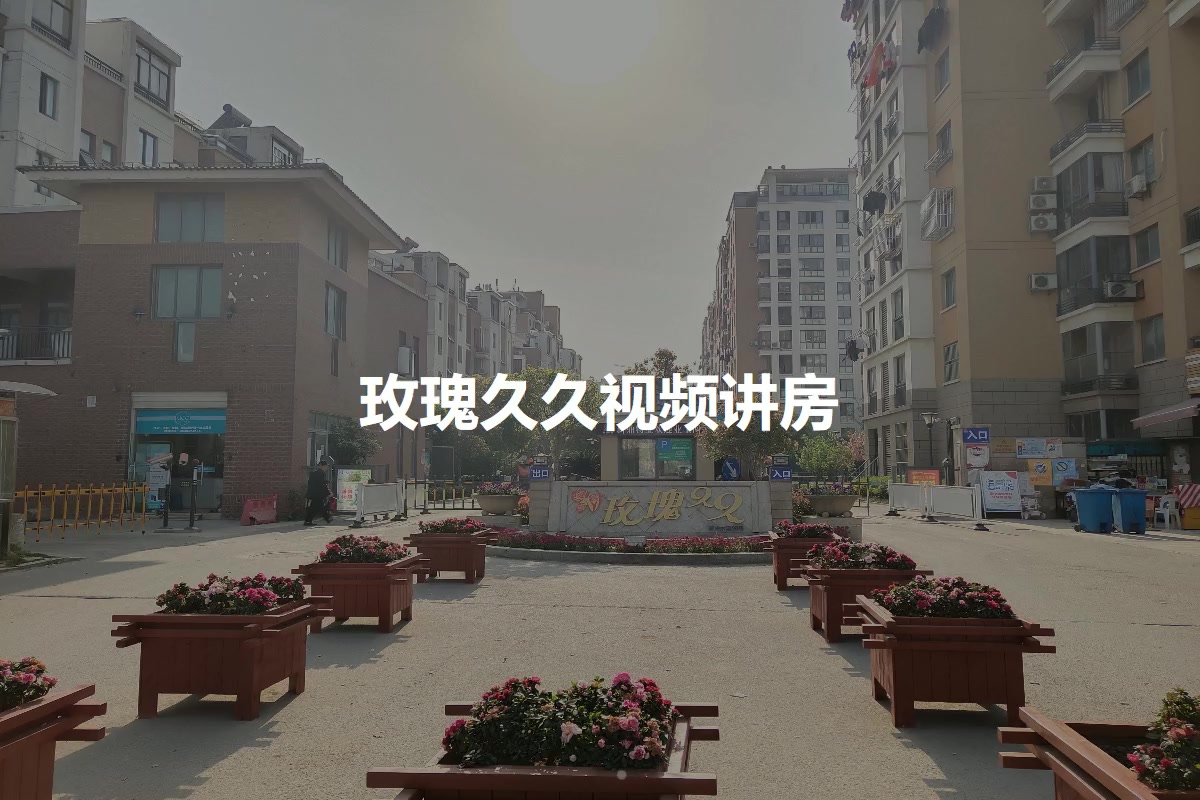 玫瑰久久