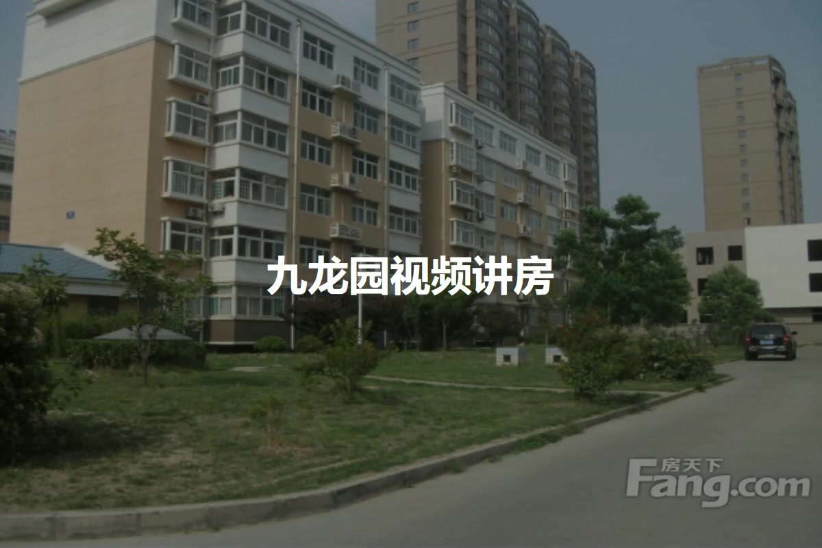 九龙园
