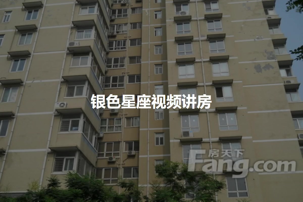 银色星座