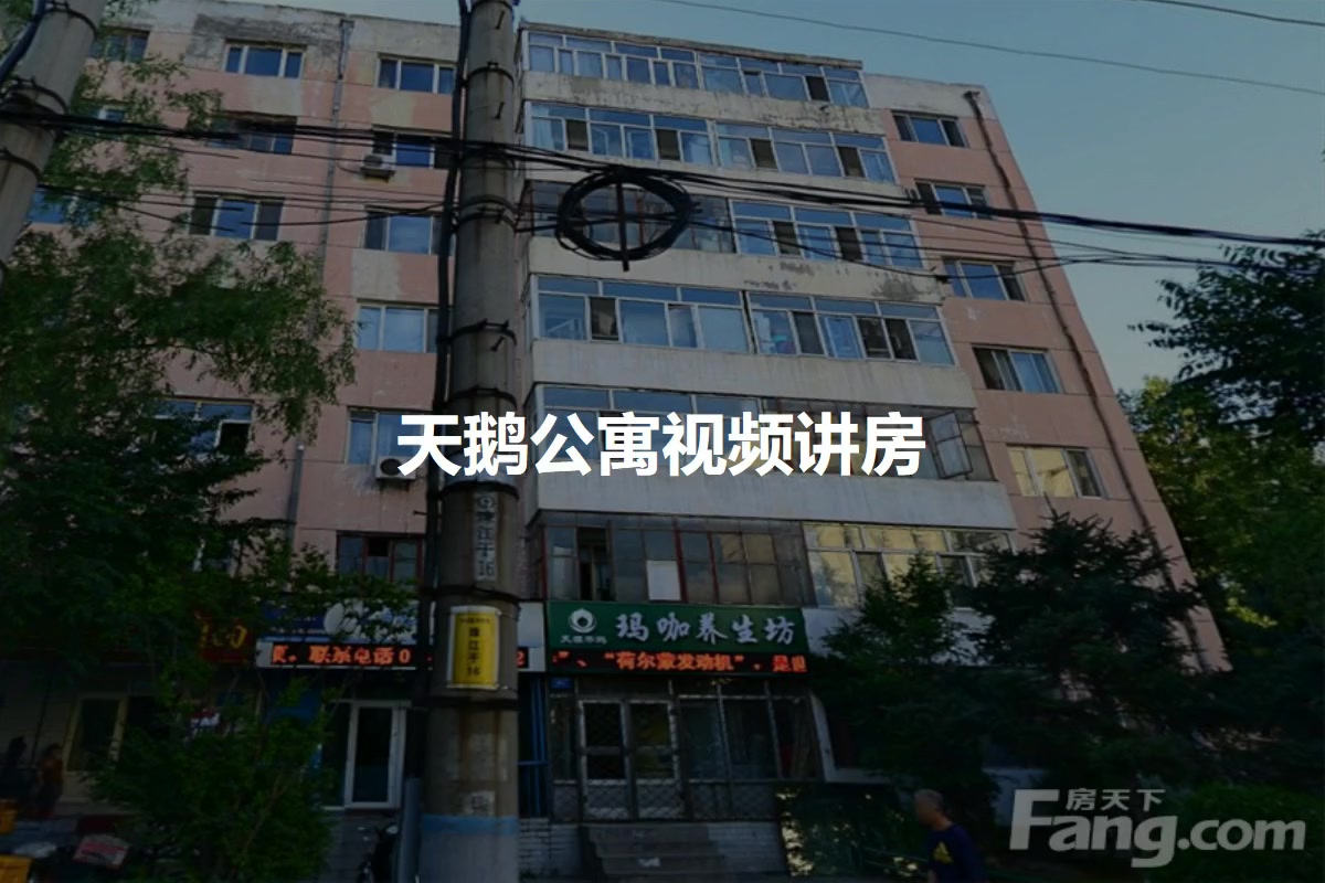 天鹅公寓