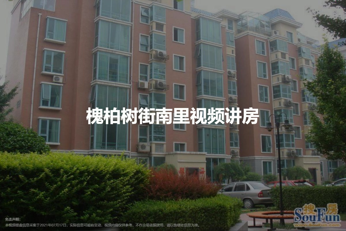 槐柏树街南里