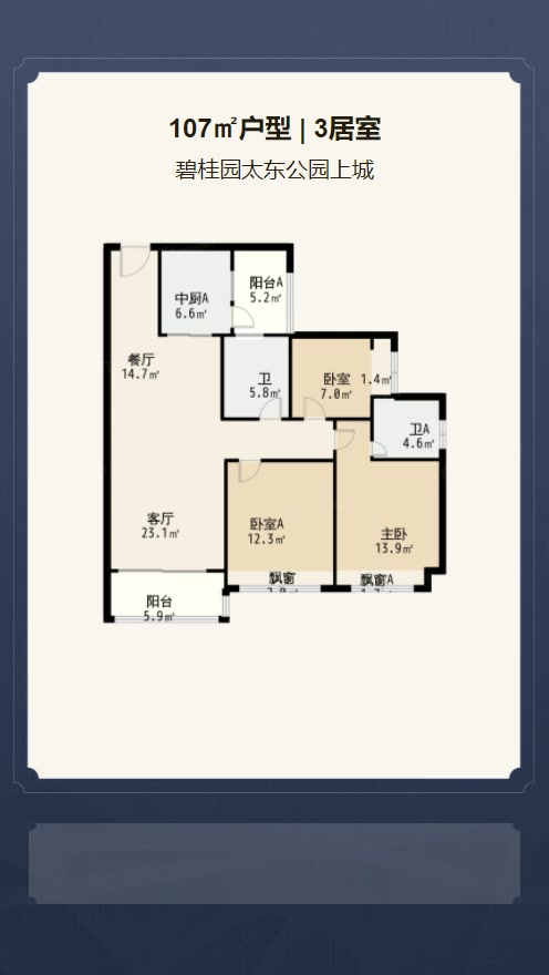 碧桂园太东公园上城户型解析视频