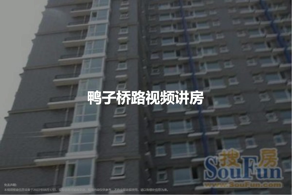 鸭子桥路