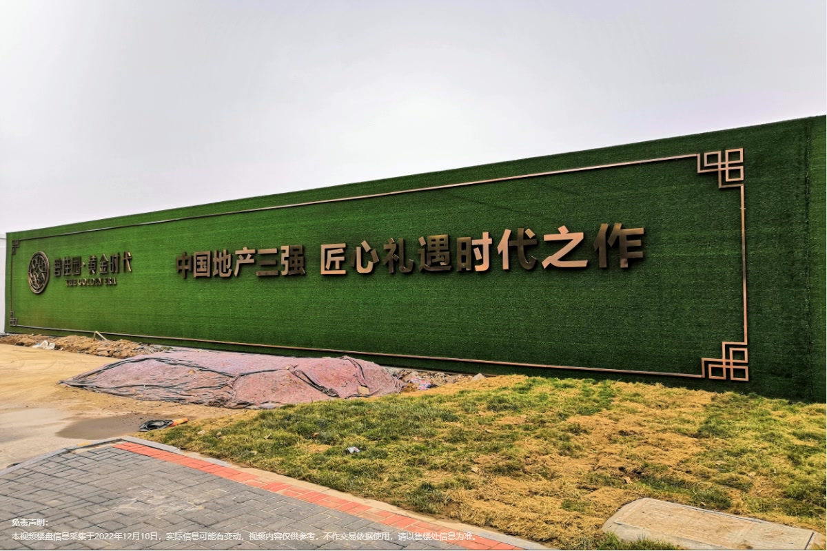 碧桂园黄金时代视频
