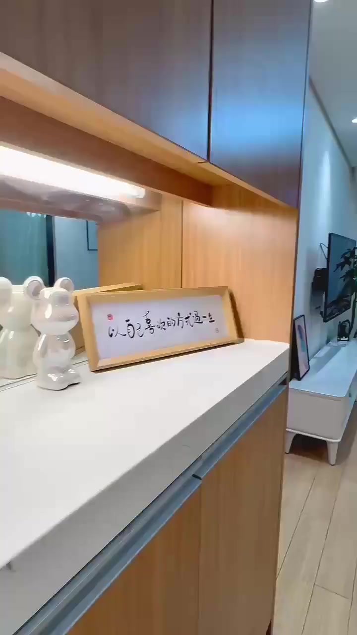 北滨路 一线江景 正看李子坝轻轨站 全屋精装两房 中央空调